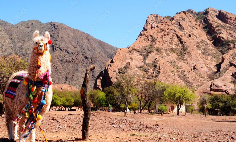 Experiencia Norte Argentino – 11 Días