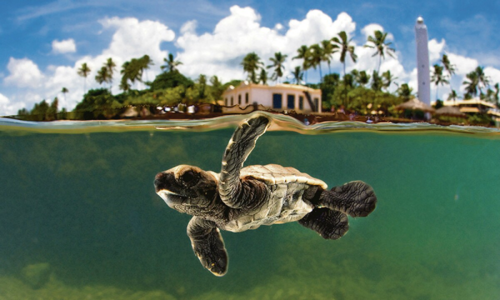 Praia do Forte – Semana de Turismo 2026